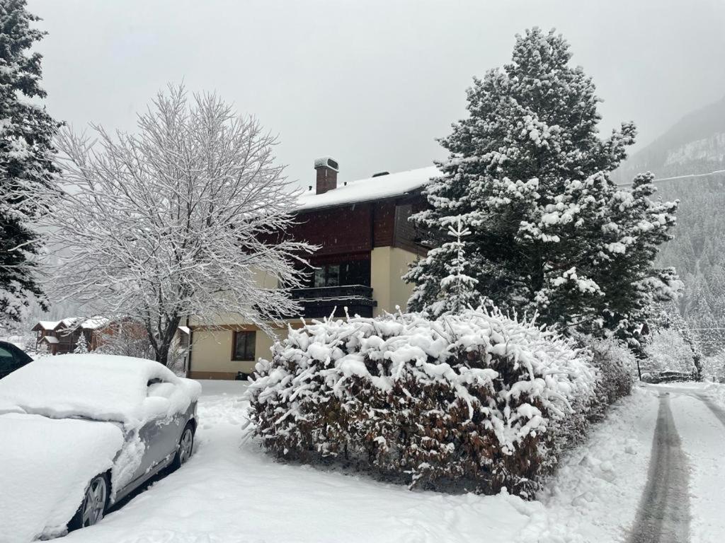 Haus Karin Mallnitz Dış mekan fotoğraf